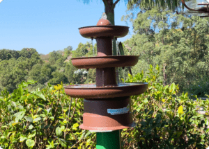 Fonte para Pássaros Natureza Livre